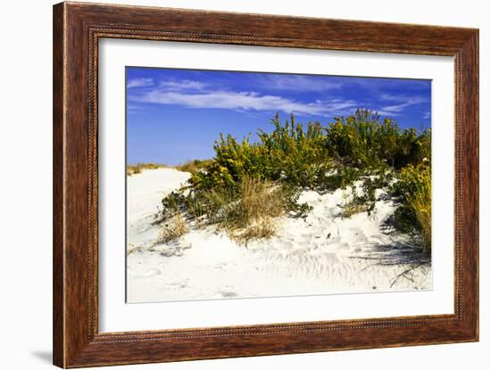 Assateague Beach 2-Alan Hausenflock-Framed Photographic Print