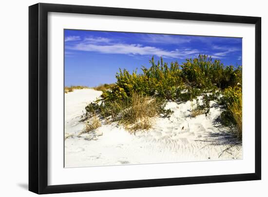 Assateague Beach 2-Alan Hausenflock-Framed Photographic Print