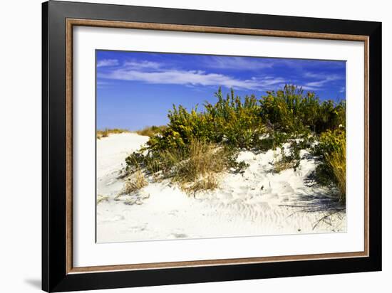 Assateague Beach 2-Alan Hausenflock-Framed Photographic Print