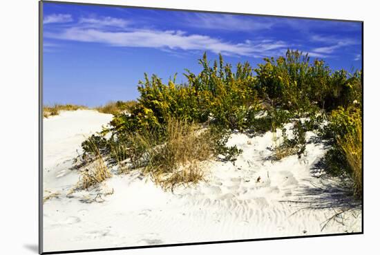 Assateague Beach 2-Alan Hausenflock-Mounted Photographic Print