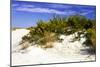 Assateague Beach 2-Alan Hausenflock-Mounted Photographic Print