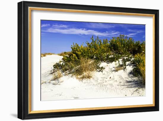Assateague Beach 2-Alan Hausenflock-Framed Photographic Print