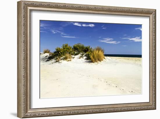 Assateague Beach 3-Alan Hausenflock-Framed Photographic Print