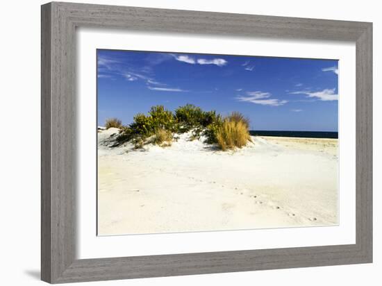 Assateague Beach 3-Alan Hausenflock-Framed Photographic Print