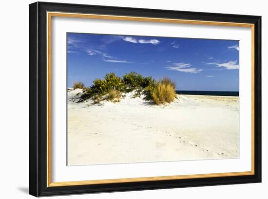 Assateague Beach 3-Alan Hausenflock-Framed Photographic Print