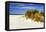 Assateague Beach 4-Alan Hausenflock-Framed Premier Image Canvas