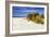 Assateague Beach 4-Alan Hausenflock-Framed Photographic Print