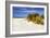 Assateague Beach 4-Alan Hausenflock-Framed Photographic Print