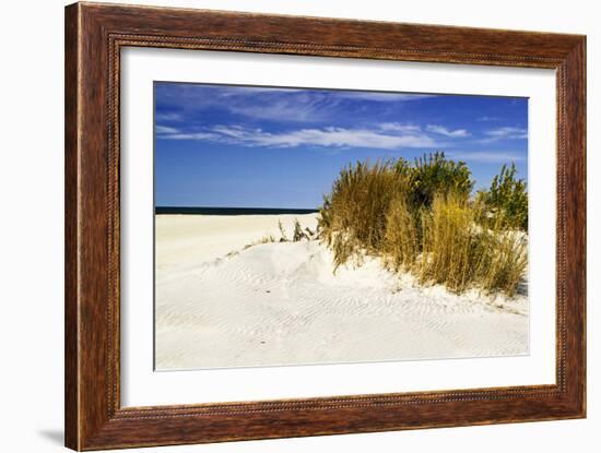 Assateague Beach 4-Alan Hausenflock-Framed Photographic Print