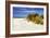 Assateague Beach 4-Alan Hausenflock-Framed Photographic Print