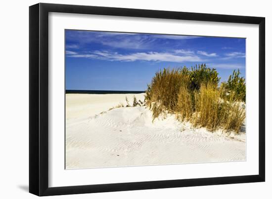 Assateague Beach 4-Alan Hausenflock-Framed Photographic Print