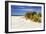 Assateague Beach 4-Alan Hausenflock-Framed Photographic Print