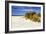 Assateague Beach 4-Alan Hausenflock-Framed Photographic Print