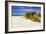 Assateague Beach 4-Alan Hausenflock-Framed Photographic Print