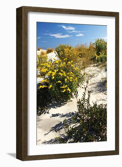 Assateague Beach 5-Alan Hausenflock-Framed Photographic Print