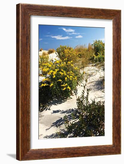 Assateague Beach 5-Alan Hausenflock-Framed Photographic Print