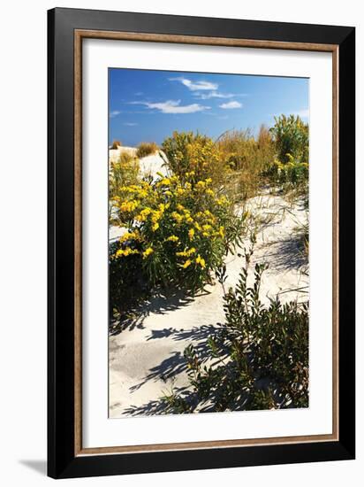 Assateague Beach 5-Alan Hausenflock-Framed Photographic Print