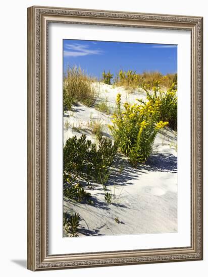 Assateague Beach 6-Alan Hausenflock-Framed Photographic Print