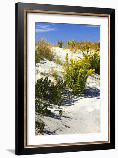 Assateague Beach 6-Alan Hausenflock-Framed Photographic Print