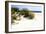 Assateague Beach 7-Alan Hausenflock-Framed Photographic Print