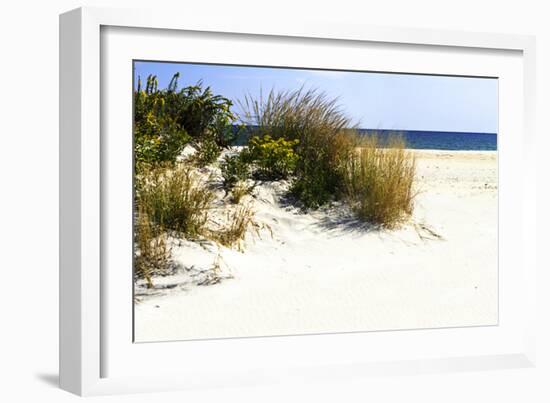 Assateague Beach 7-Alan Hausenflock-Framed Photographic Print