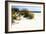 Assateague Beach 7-Alan Hausenflock-Framed Photographic Print