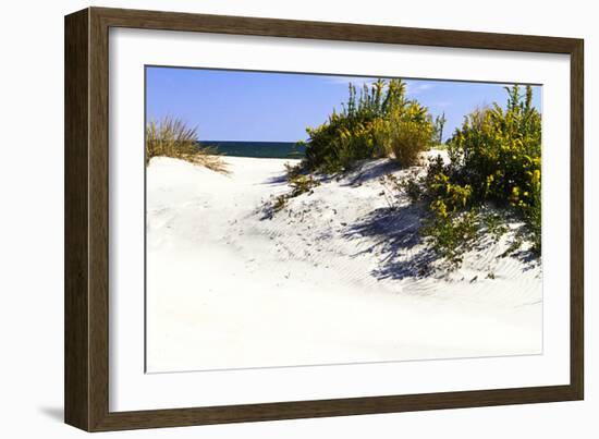 Assateague Beach 8-Alan Hausenflock-Framed Photographic Print