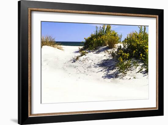 Assateague Beach 8-Alan Hausenflock-Framed Photographic Print