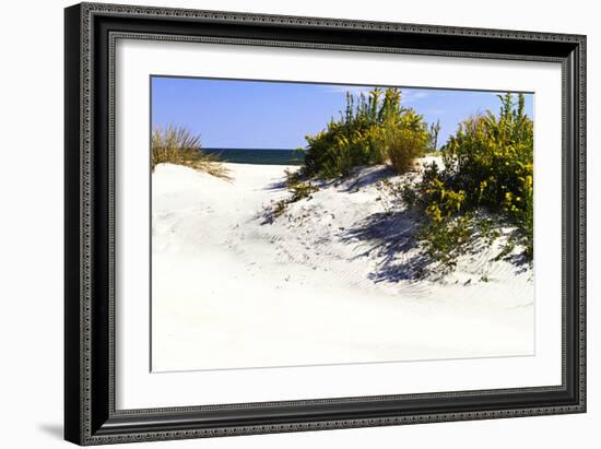 Assateague Beach 8-Alan Hausenflock-Framed Photographic Print