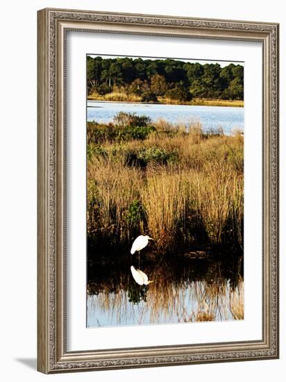 Assateague Island 1-Alan Hausenflock-Framed Photographic Print