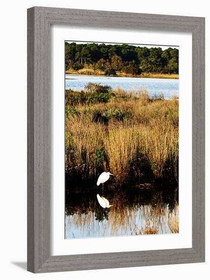 Assateague Island 1-Alan Hausenflock-Framed Photographic Print