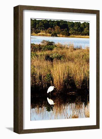 Assateague Island 1-Alan Hausenflock-Framed Photographic Print