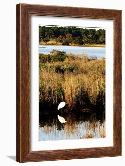 Assateague Island 1-Alan Hausenflock-Framed Photographic Print