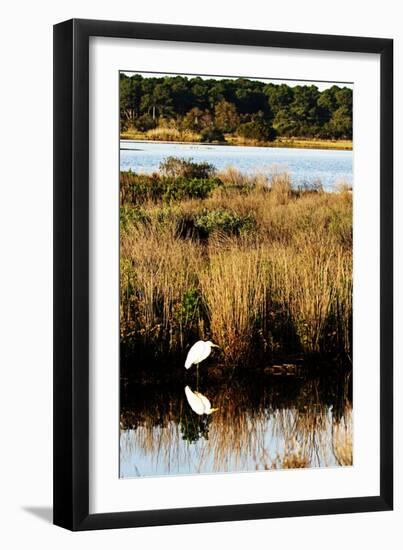 Assateague Island 1-Alan Hausenflock-Framed Photographic Print