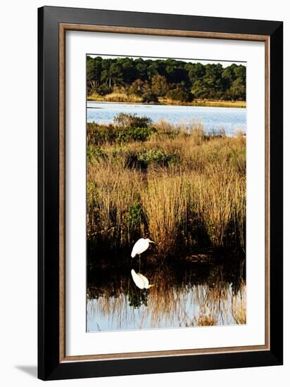 Assateague Island 1-Alan Hausenflock-Framed Photographic Print