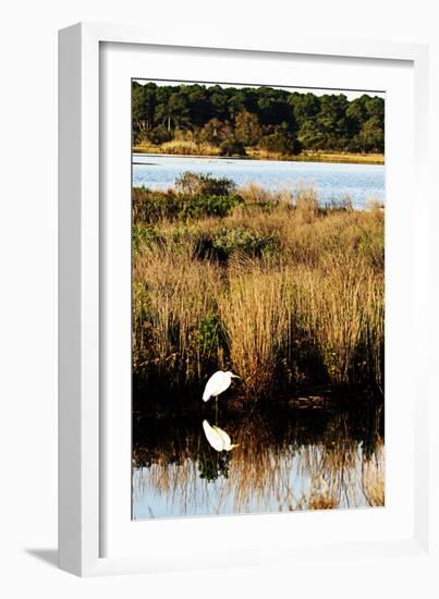 Assateague Island 1-Alan Hausenflock-Framed Photographic Print