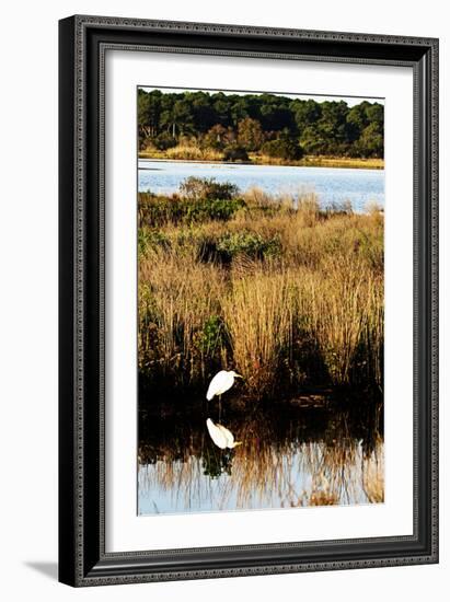 Assateague Island 1-Alan Hausenflock-Framed Photographic Print