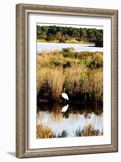 Assateague Island 2-Alan Hausenflock-Framed Photographic Print