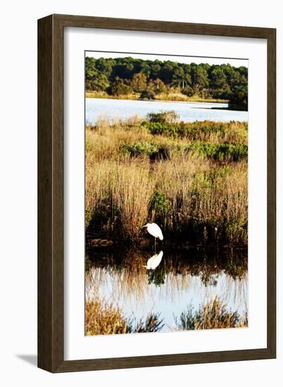 Assateague Island 2-Alan Hausenflock-Framed Photographic Print