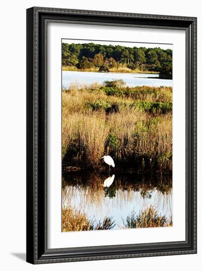 Assateague Island 2-Alan Hausenflock-Framed Photographic Print