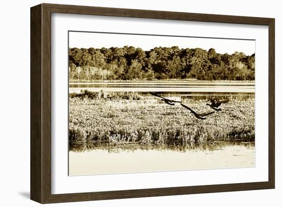 Assateague Island 3-Alan Hausenflock-Framed Photographic Print