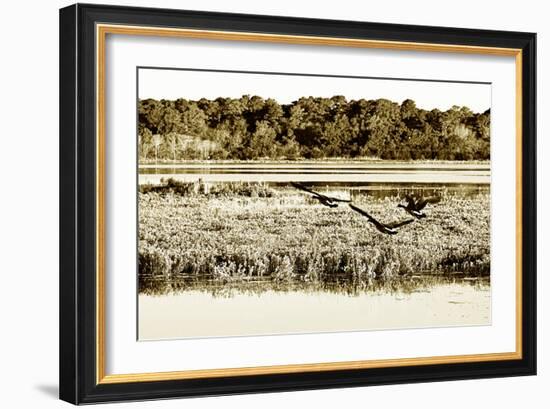 Assateague Island 3-Alan Hausenflock-Framed Photographic Print