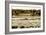 Assateague Island 4-Alan Hausenflock-Framed Photographic Print