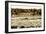 Assateague Island 4-Alan Hausenflock-Framed Photographic Print