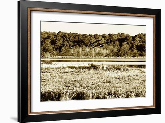 Assateague Island 4-Alan Hausenflock-Framed Photographic Print