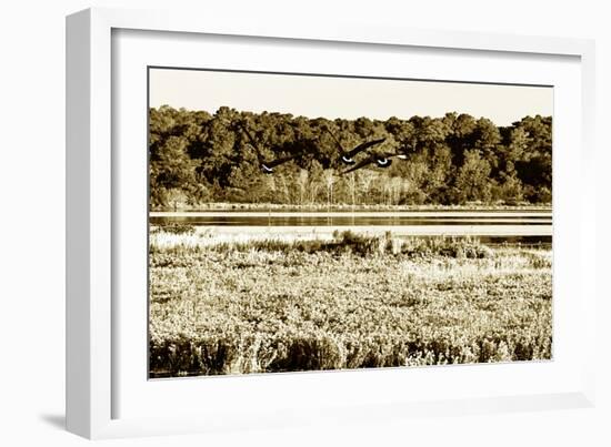 Assateague Island 4-Alan Hausenflock-Framed Photographic Print