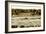 Assateague Island 4-Alan Hausenflock-Framed Photographic Print