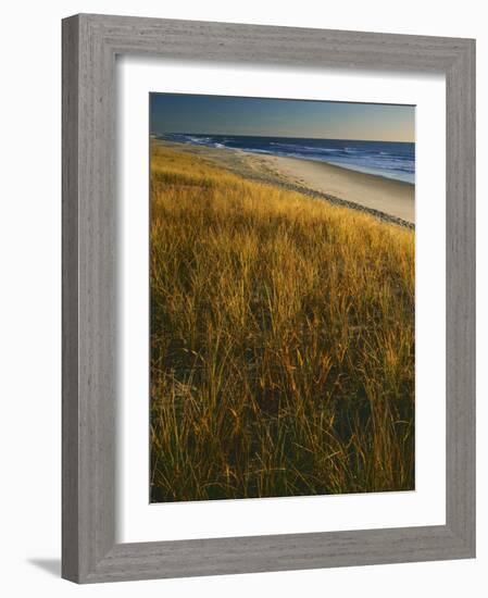 Assateague Island National Seashore, Virginia, USA-Charles Gurche-Framed Photographic Print