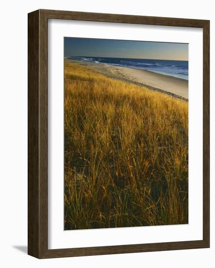 Assateague Island National Seashore, Virginia, USA-Charles Gurche-Framed Photographic Print