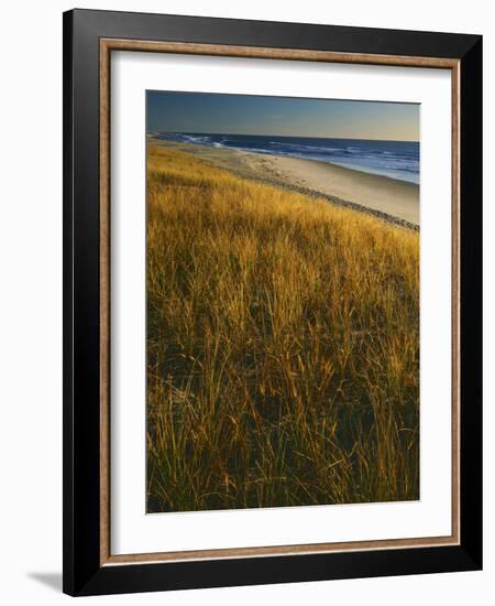 Assateague Island National Seashore, Virginia, USA-Charles Gurche-Framed Photographic Print